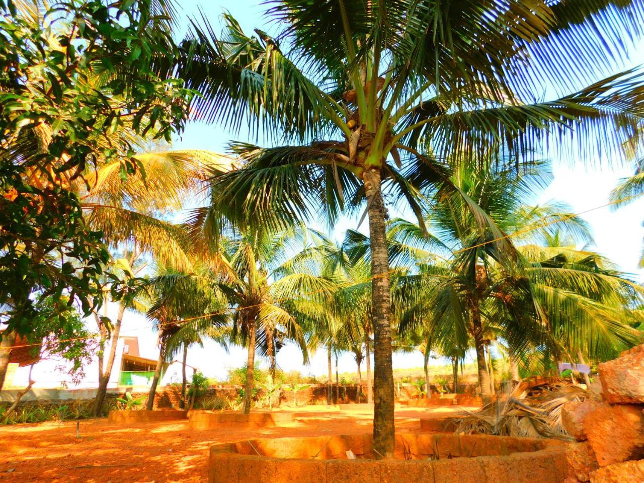 Coconut Tree Resort Gokarna Gokarna  Dış mekan fotoğraf